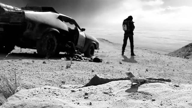 Mad Max Fury Road Black and Chrome Edition