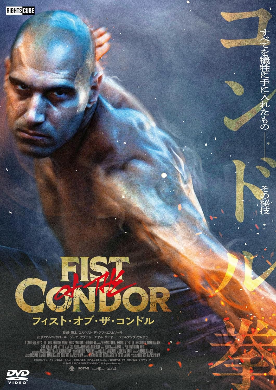 フィスト・オブ・ザ・コンドル [DVD]